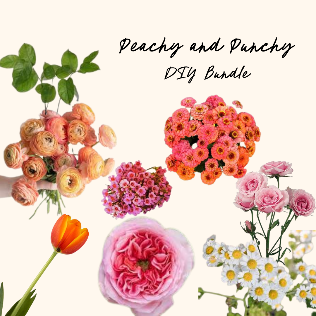 Peachy and Punchy DIY Bundle