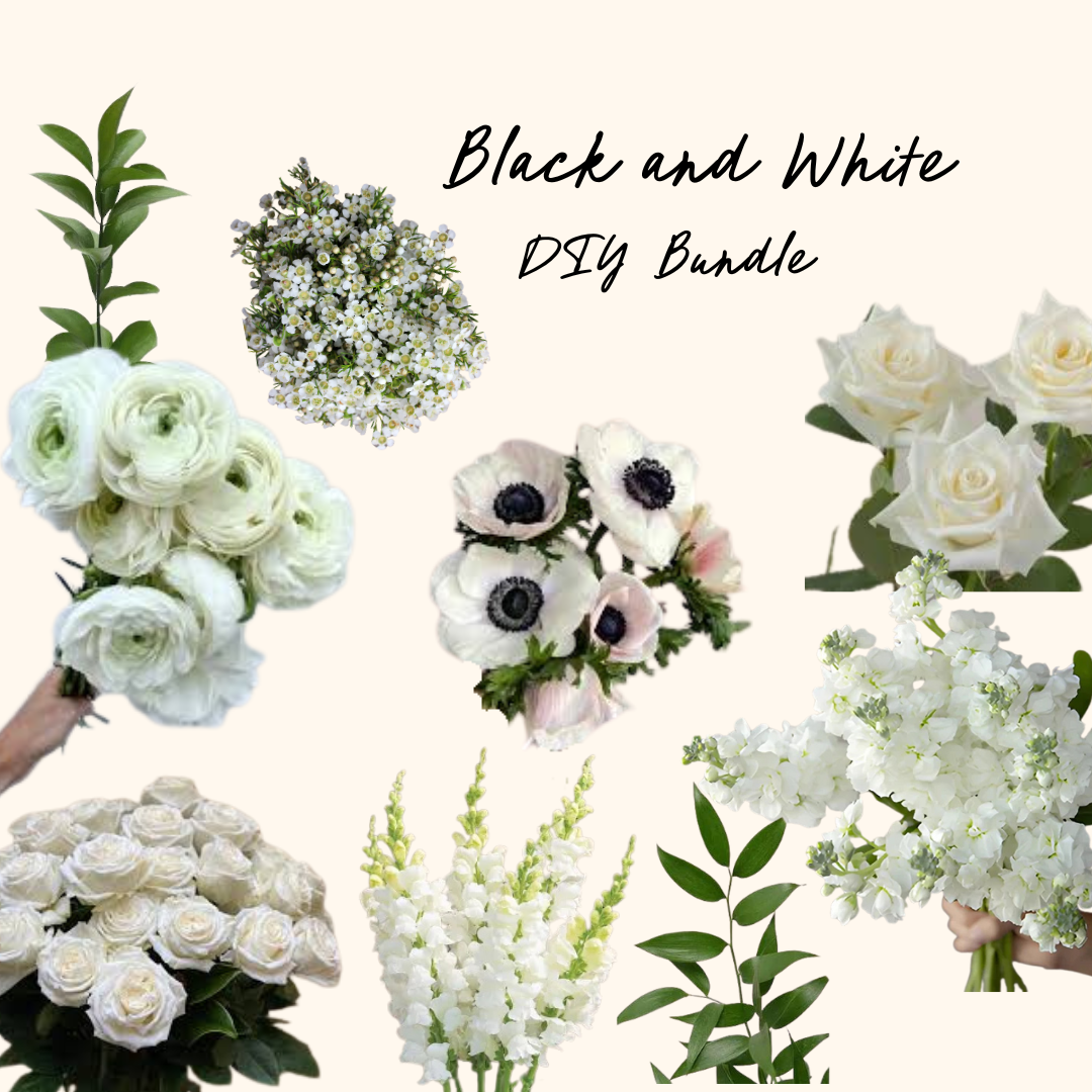 Black and White DIY Bundle