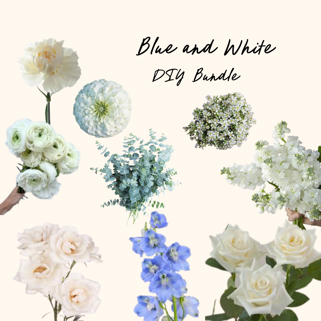 Blue and White DIY Bundle