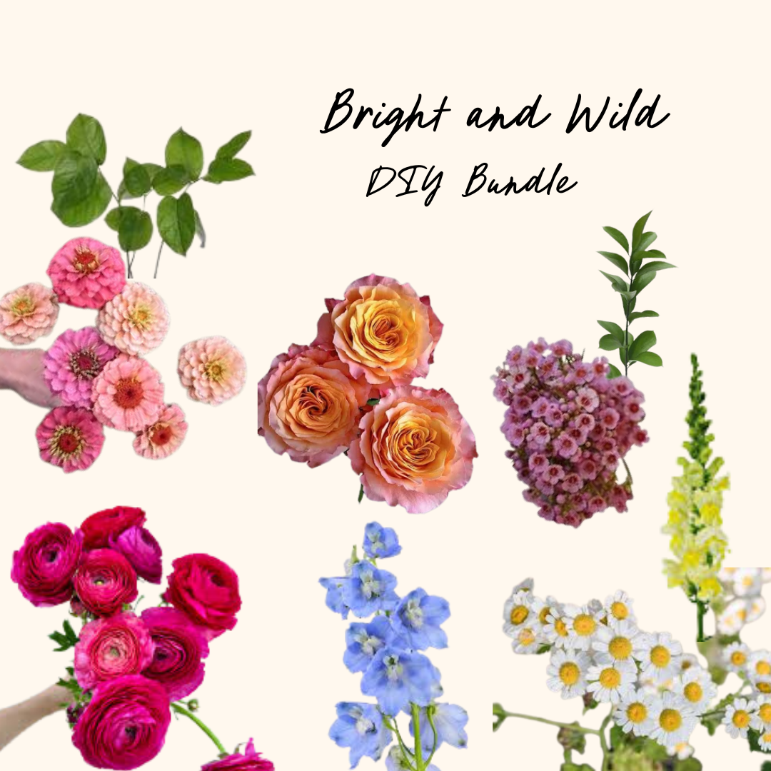 Bright and Wild DIY Bundle