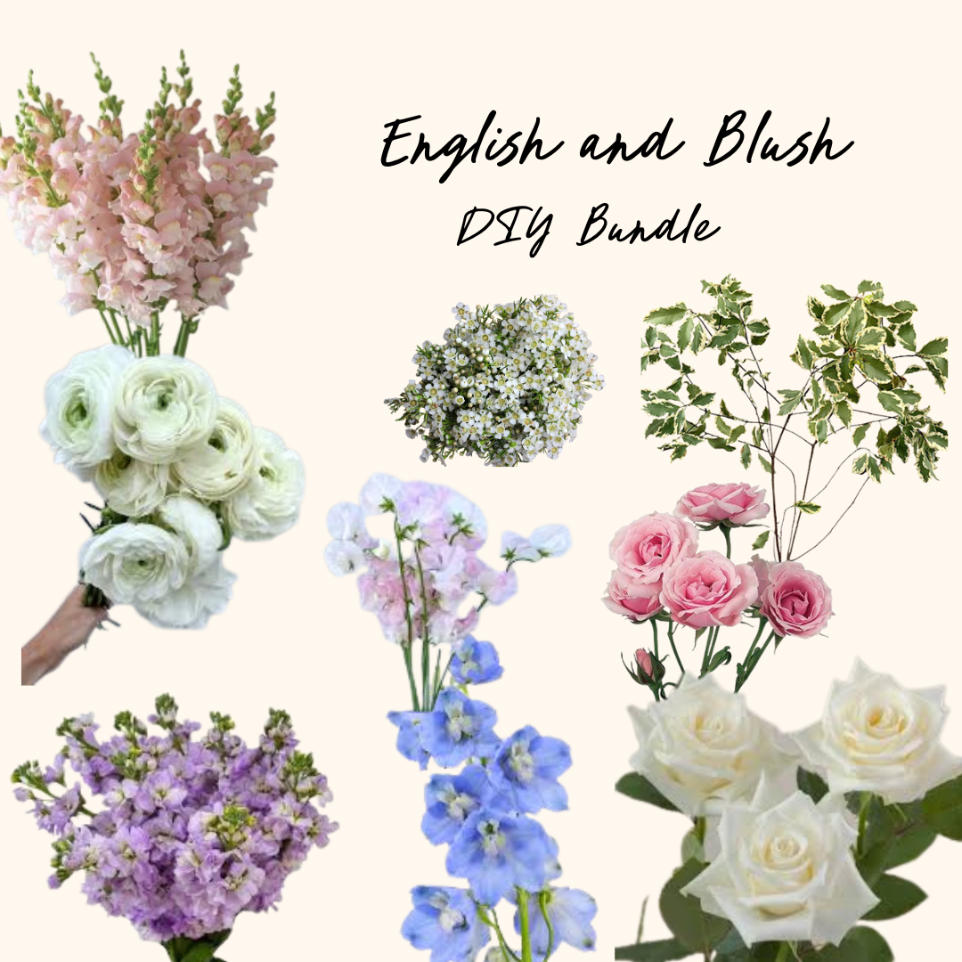 English and Blush DIY Bundle