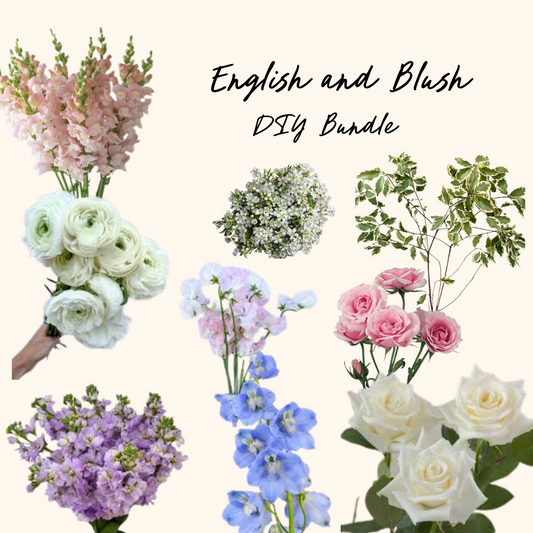 English and Blush DIY Bundle