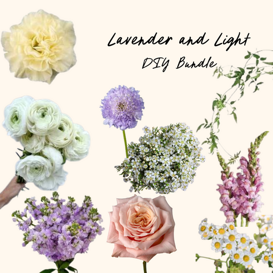 Lavender and Light DIY Bundle