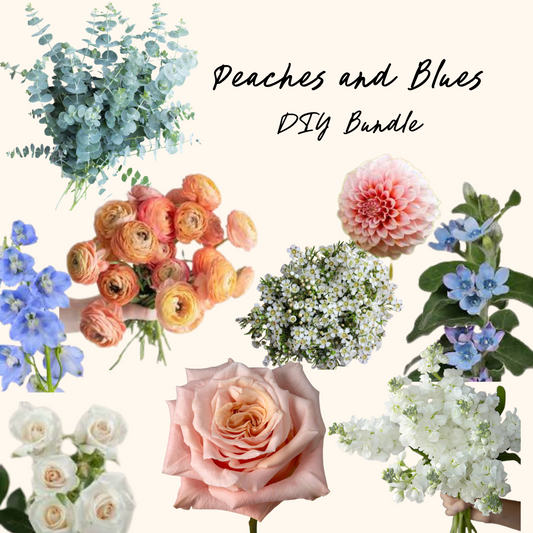 Peaches and Blues DIY Bundle