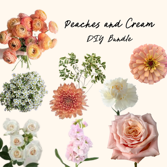 Peaches and Cream DIY Bundle