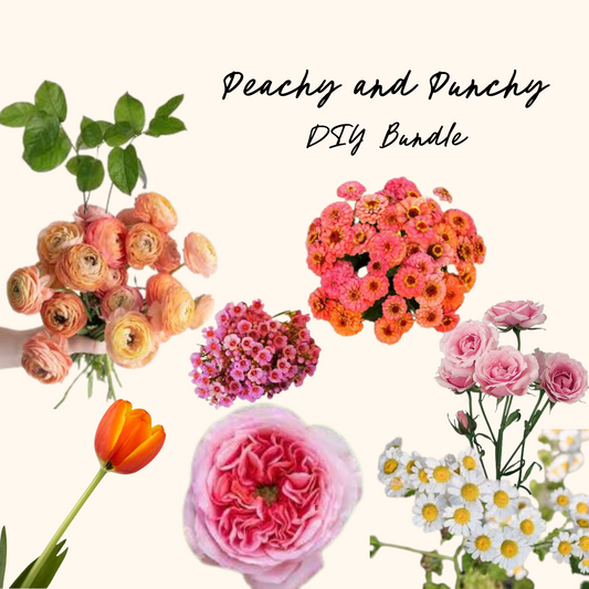 Peachy and Punchy DIY Bundle